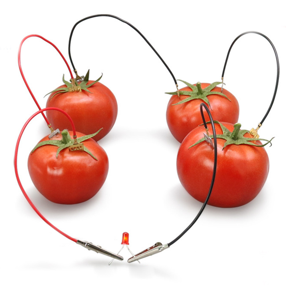 3Sets Fruit Battery Science Ex - مراجعة Renewable Energy For Kids وسعره