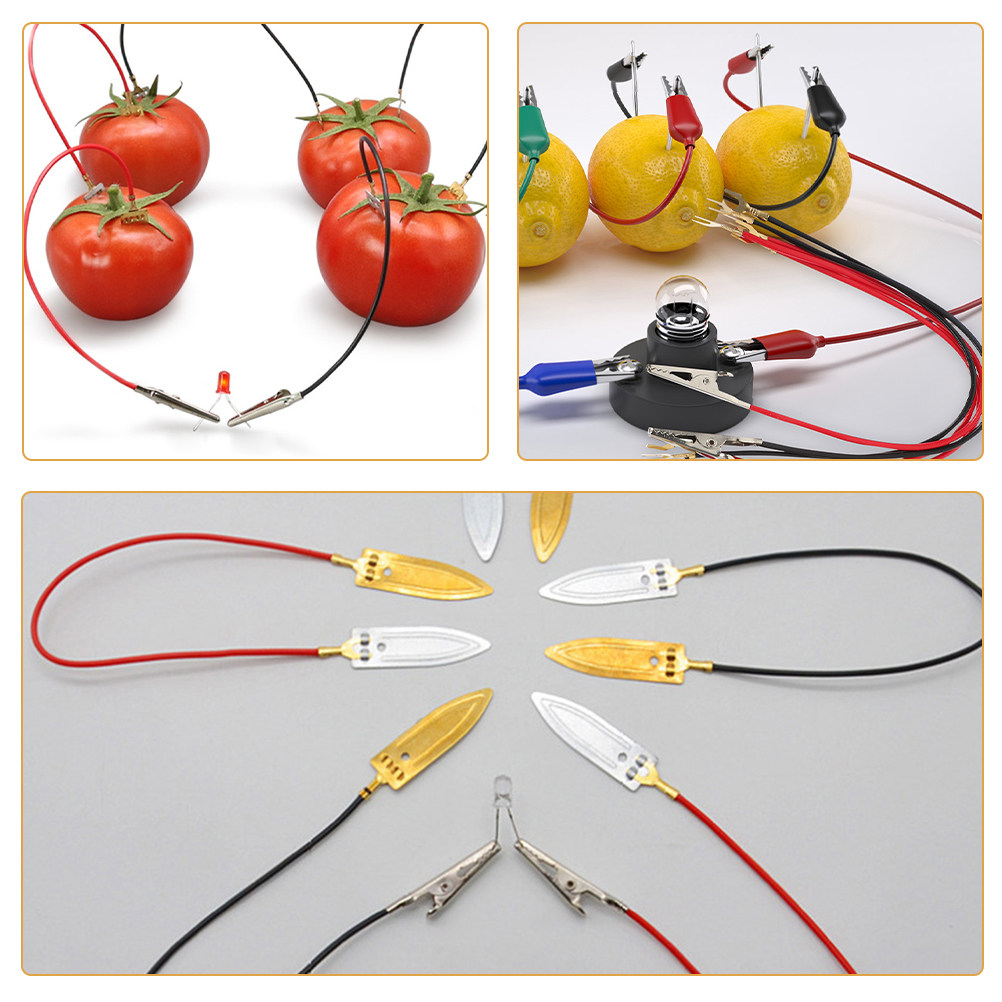 3Sets Fruit Battery Science Ex - مراجعة Renewable Energy For Kids وسعره